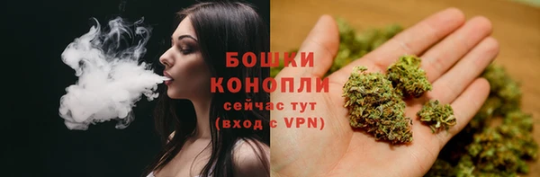 шишки Абинск