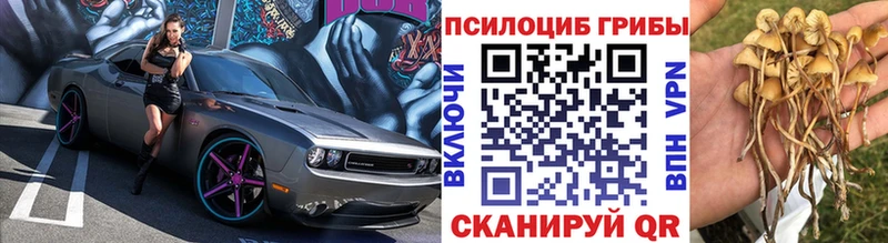 как найти   Хилок  Псилоцибиновые грибы мухоморы 